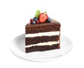 Plate with slice of chocolate sponge berry cake Royalty Free Stock Photo