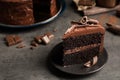 Plate with slice of tasty homemade chocolate cake on table. Space for text