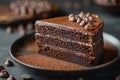 Plate with slice of tasty homemade chocolate cake on table Royalty Free Stock Photo