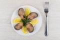 Plate with slices of smoked mackerel, lemon and fork Royalty Free Stock Photo