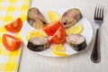 Plate with slices of smoked mackerel, tomato, lemon, napkin, for