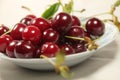 On a plate sour cherry red Royalty Free Stock Photo