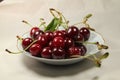 On a plate sour cherry red Royalty Free Stock Photo