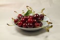 On a plate sour cherry red Royalty Free Stock Photo