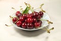 On a plate sour cherry red Royalty Free Stock Photo