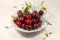 On a plate sour cherry red Royalty Free Stock Photo