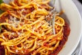 Plate of spaghetti bolognese with fork Royalty Free Stock Photo