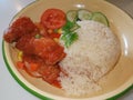 A plate of sweet sour pork rice Royalty Free Stock Photo