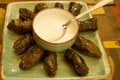 Plate of Tasty Armenian Dolma Tolma or Grape Leaves Rolls with Yogurt Dip Royalty Free Stock Photo