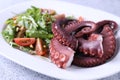 Plate with tasty boiled octopus tentacles and salad on grey textured table, closeup Royalty Free Stock Photo