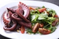 Plate with tasty boiled octopus tentacles and salad on table, closeup Royalty Free Stock Photo