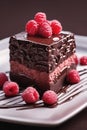 plate with tasty chocolate cake, closeup