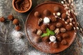 Plate with tasty chocolate truffles  on dark table Royalty Free Stock Photo