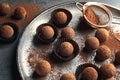 Plate with tasty chocolate truffles Royalty Free Stock Photo