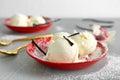 Plate with tasty vanilla ice cream Royalty Free Stock Photo