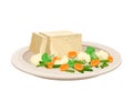 Plate With Tofu Cheese And Fresh Vegetables Vector Illustration