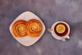 A plate with two rolled cinnamon rolls and a cup of black tea with lemon on a gray background Royalty Free Stock Photo
