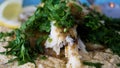 Plate of typical Lebanese hummus seasoned in various ways