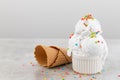 Plate of vanilla ice cream scoop swith sprinkles and waffle cones with copy space