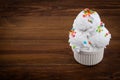 Plate of vanilla ice cream scoop swith sprinkles on wooden background with copy space Royalty Free Stock Photo