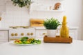 Plate of vegetables, a jar of pasta and a green plant on the kitchen table Royalty Free Stock Photo