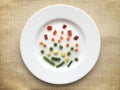 Plate of very few vegetables. Royalty Free Stock Photo