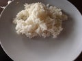 a plate of white rice with a fairly large plate Royalty Free Stock Photo