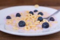 Plate with yogurt, cereals and blueberries