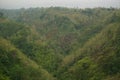 Plateau with a few trees Royalty Free Stock Photo