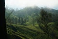 Plateau with a few trees Royalty Free Stock Photo