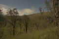 Plateau with a few trees Royalty Free Stock Photo