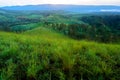 Plateau with a few trees under the foot of the mountain Royalty Free Stock Photo