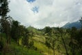 Plateau with a few trees Royalty Free Stock Photo