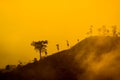 Plateau with a few trees under the foot of the mountain and was once a wilderness Royalty Free Stock Photo