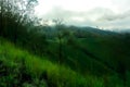 Plateau with a few trees under the foot of the mountain Royalty Free Stock Photo