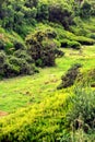 Plateau of Parque natural de Madeira