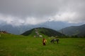 Plateau Pokut on Kackar Mountains in Turkey