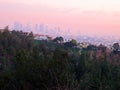 Plateau Residential Homes with a view of Los Angeles towers and city - taken from Griffith Park