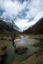 Plateau river with blue sky in sichuan of china Royalty Free Stock Photo