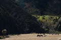 Plateau Scenery, Tibet Royalty Free Stock Photo