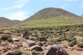 Plateau Yagour, 2150 meters above sea level, between the High Atlas Mountains, Morocco