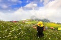 Plateaus on Mountain Kackar are beatiful travel destinations in Turkey Royalty Free Stock Photo