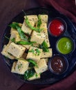 Plateful of dhokla - special gujarati indian snack Royalty Free Stock Photo