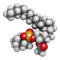 Platelet Activating Factor (PAF) signaling molecule. 3D rendering. Atoms are represented as spheres with conventional color coding Royalty Free Stock Photo