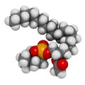 Platelet Activating Factor (PAF) signaling molecule. 3D rendering. Atoms are represented as spheres with conventional color coding