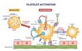 Platelet activation pathway shows transition from resting to activated states ... Royalty Free Stock Photo