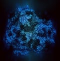 Platelet-derived growth factor receptor A (PDGFRA, kinase domain) protein. Target of anticancer monoclonal antibody olaratumab. 3D