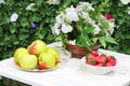Plates with apples, strawberries and flowers Royalty Free Stock Photo