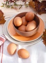 Plates with eggs Royalty Free Stock Photo