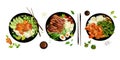 Plates food top view.Asian cuisine.Vector illustration.Salmon,vegetables,rice,steak with rice eggs and asparagus. Royalty Free Stock Photo